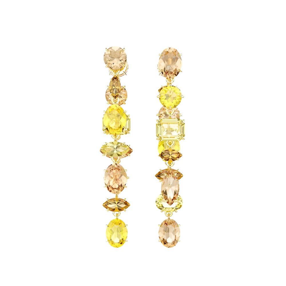 Gaby Multicolor Mixed Shape Earrings