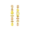 Gaby Multicolor Mixed Shape Earrings