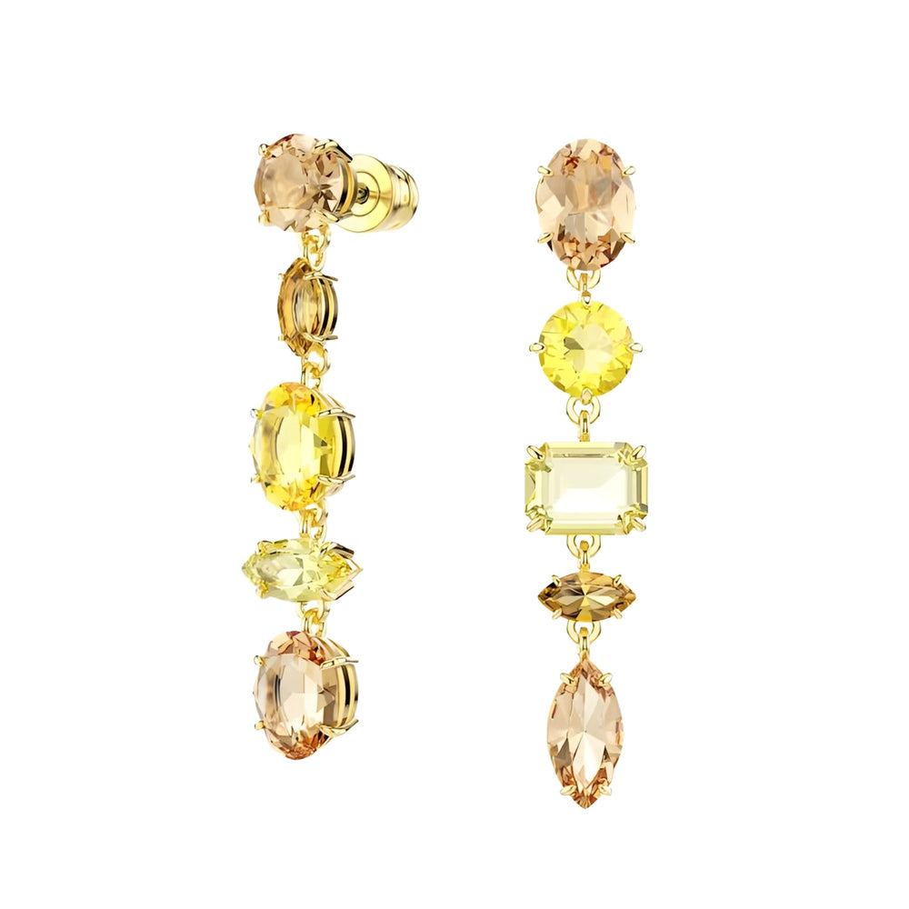 Gaby Multicolor Mixed Shape Earrings